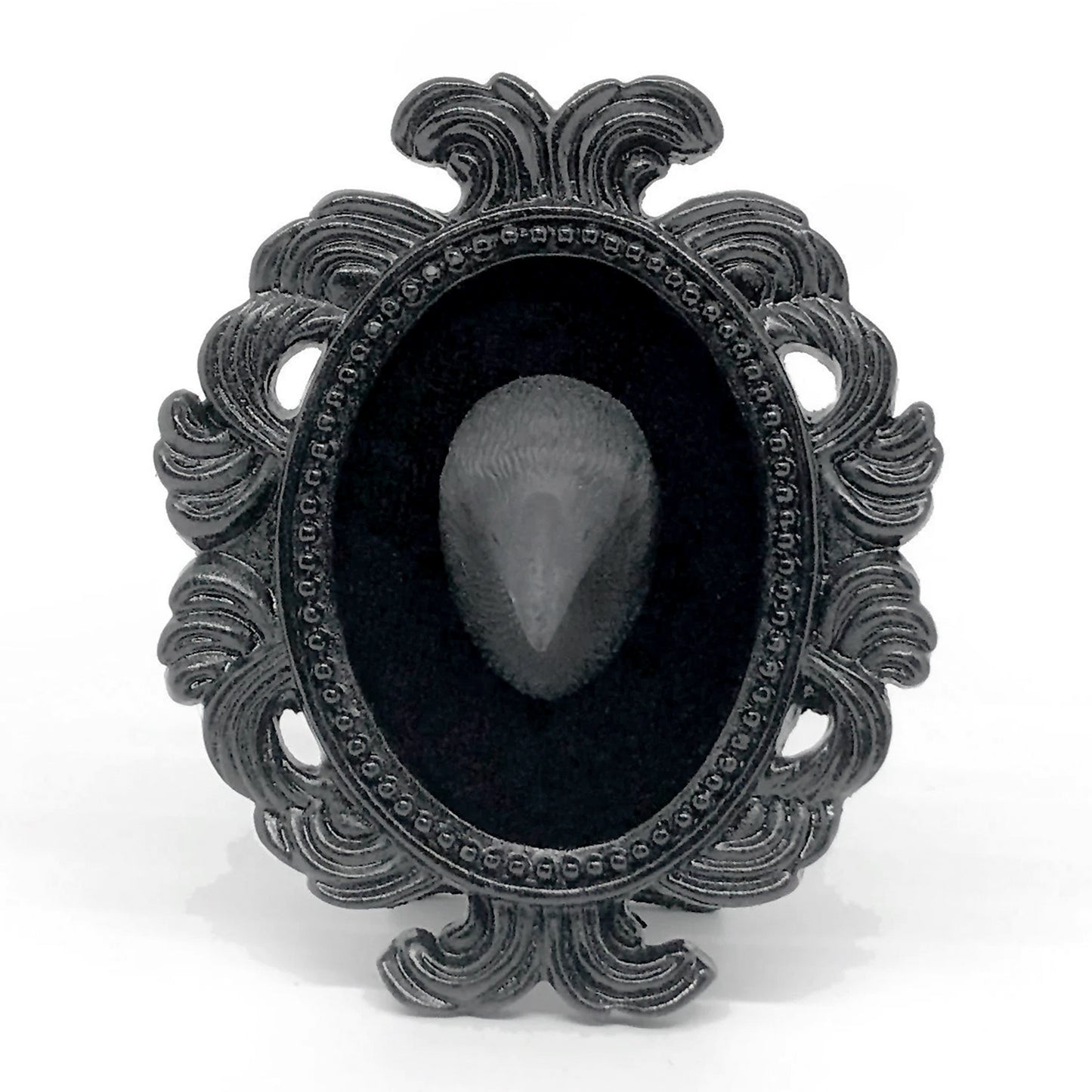 Small Black Resin Oval Frame with Black Raven Head on Black Velvet Gothic Home Deco