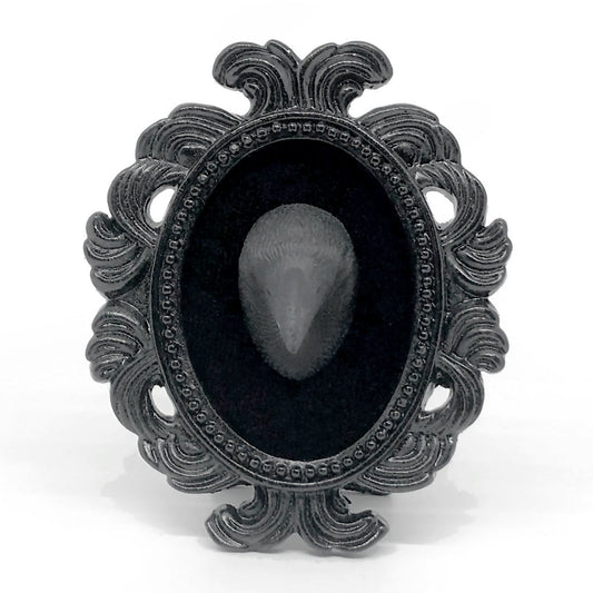 Small Black Resin Oval Frame with Black Raven Head on Black Velvet Gothic Home Deco