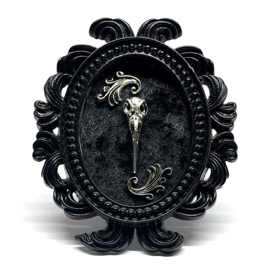 Small Black Resin Oval Frame with Silver Bird Skull on Black Velvet Gothic Home Deco