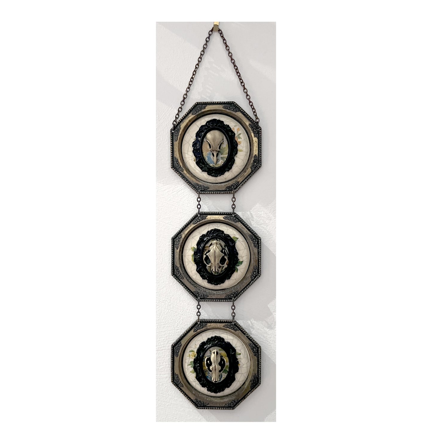 Antiqued Bird, Cat, and Wolf Skull Triple Frame Gothic Home Deco