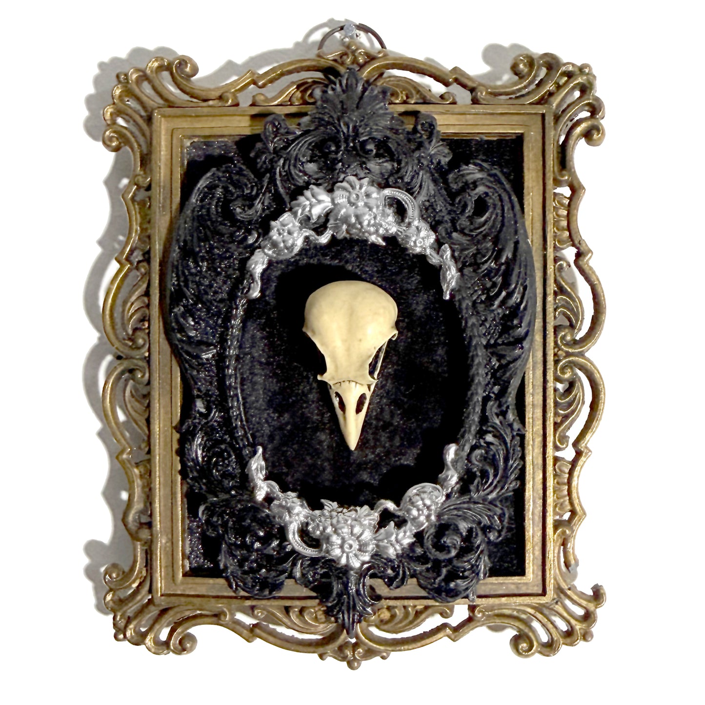Resin Bird Skull on Black Velvet Antique Framed Home Deco