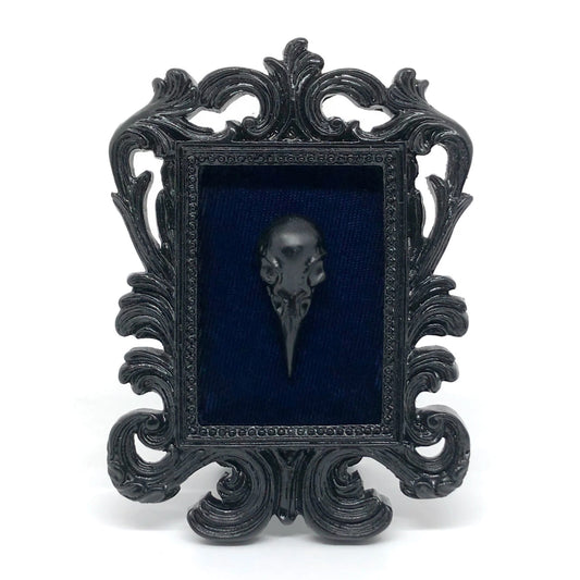 Small Black Resin Square Frame with Black Resin Bird Skull on Dark Blue Velvet Gothic Home Deco