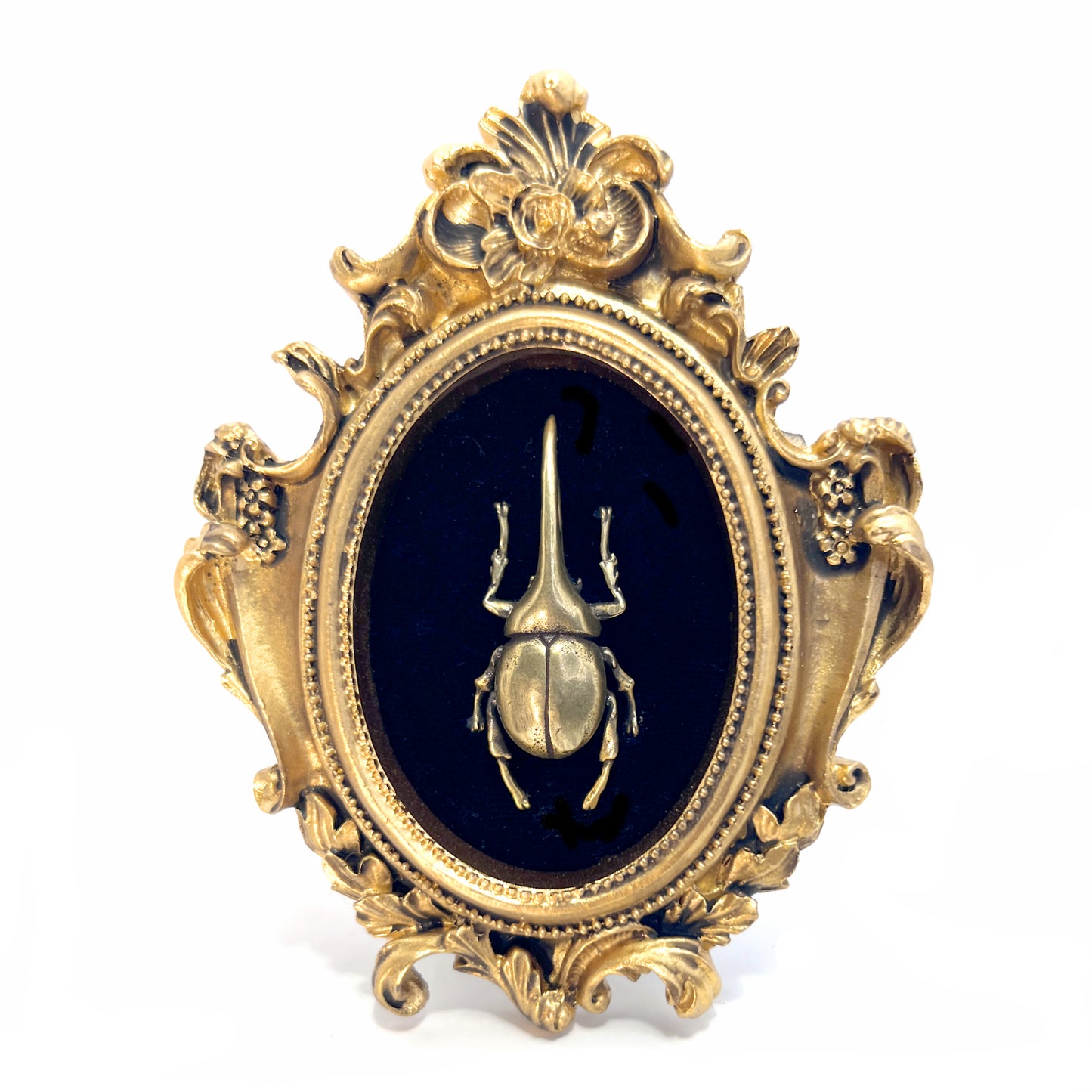 Small Antiqued Gold Framed Horned Brass Beetle on Black Velvet