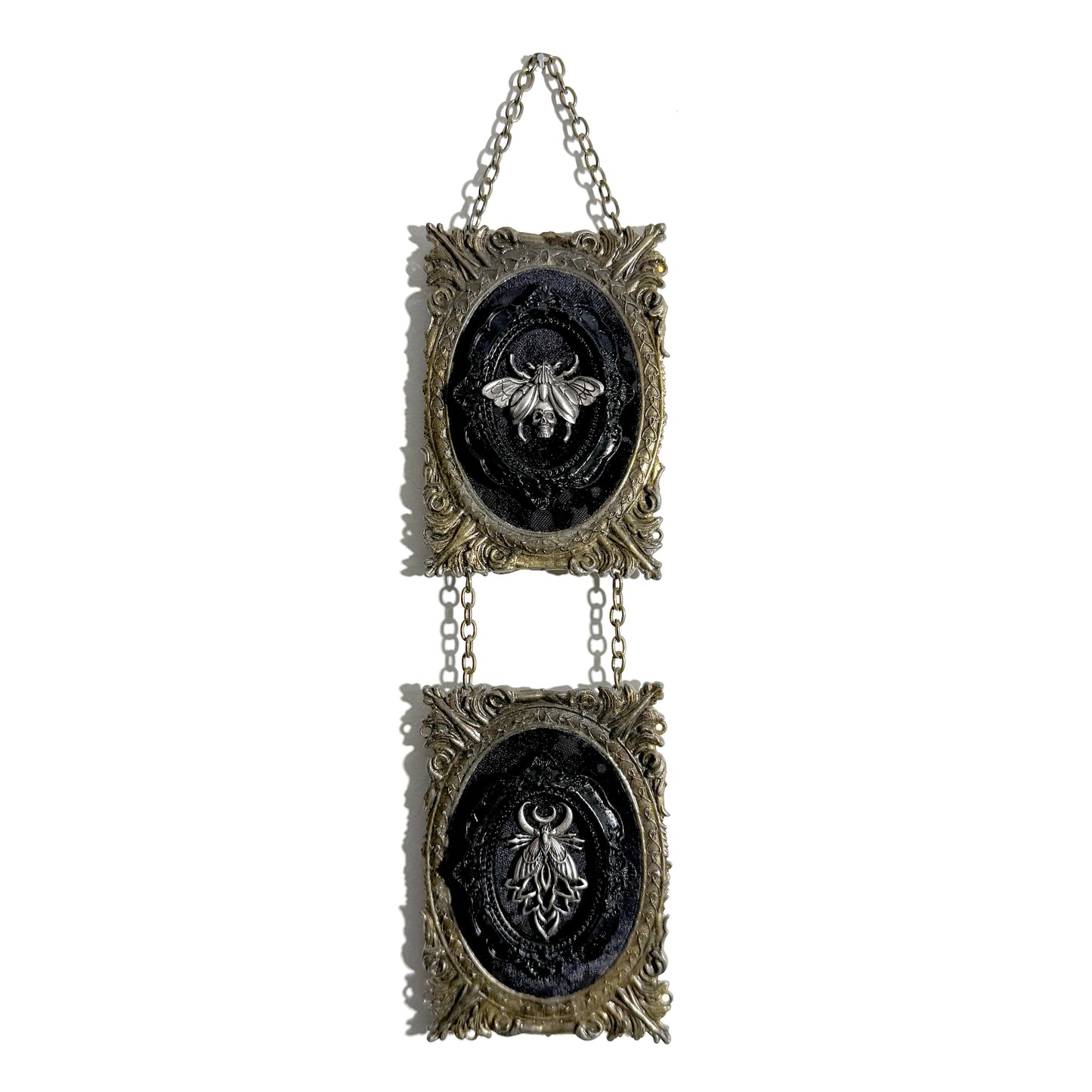 Two Winged Insects Double Antique Framed Home Deco