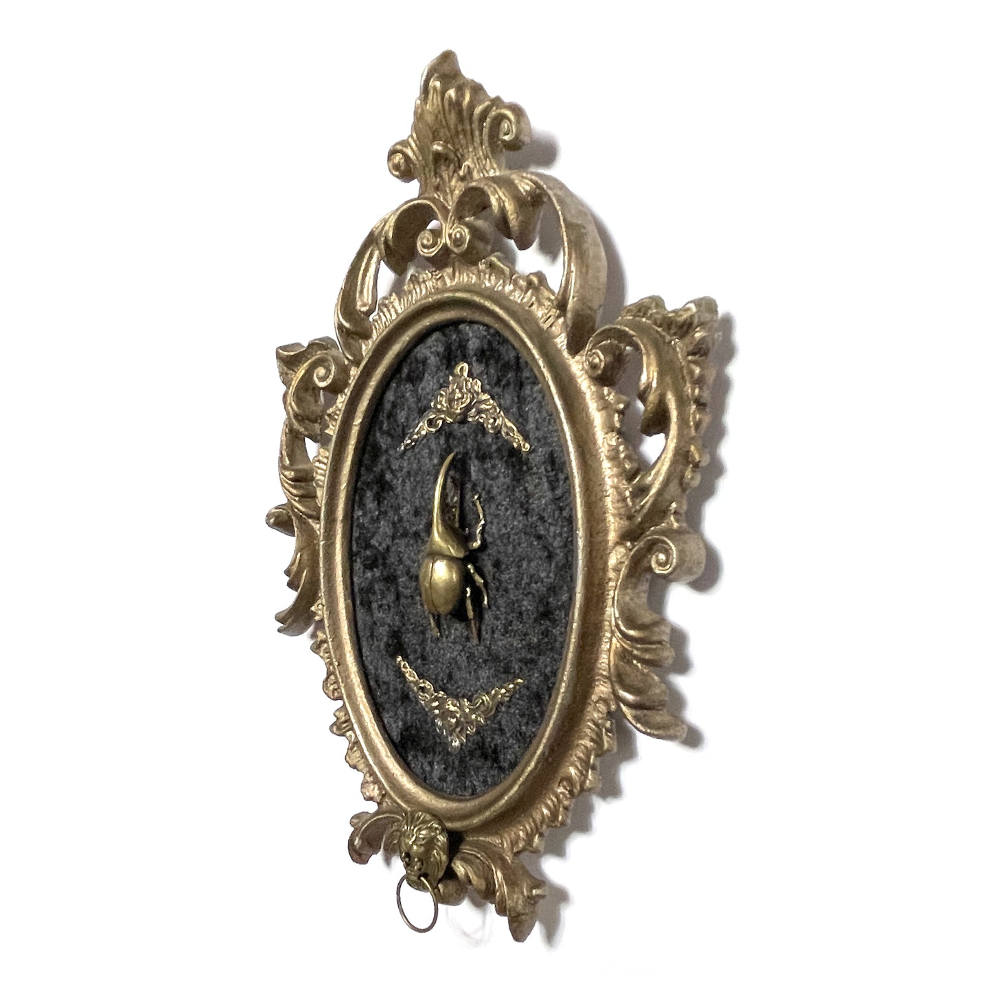 Brass Beetle on Black Velvet Antique Framed Gothic Home Deco