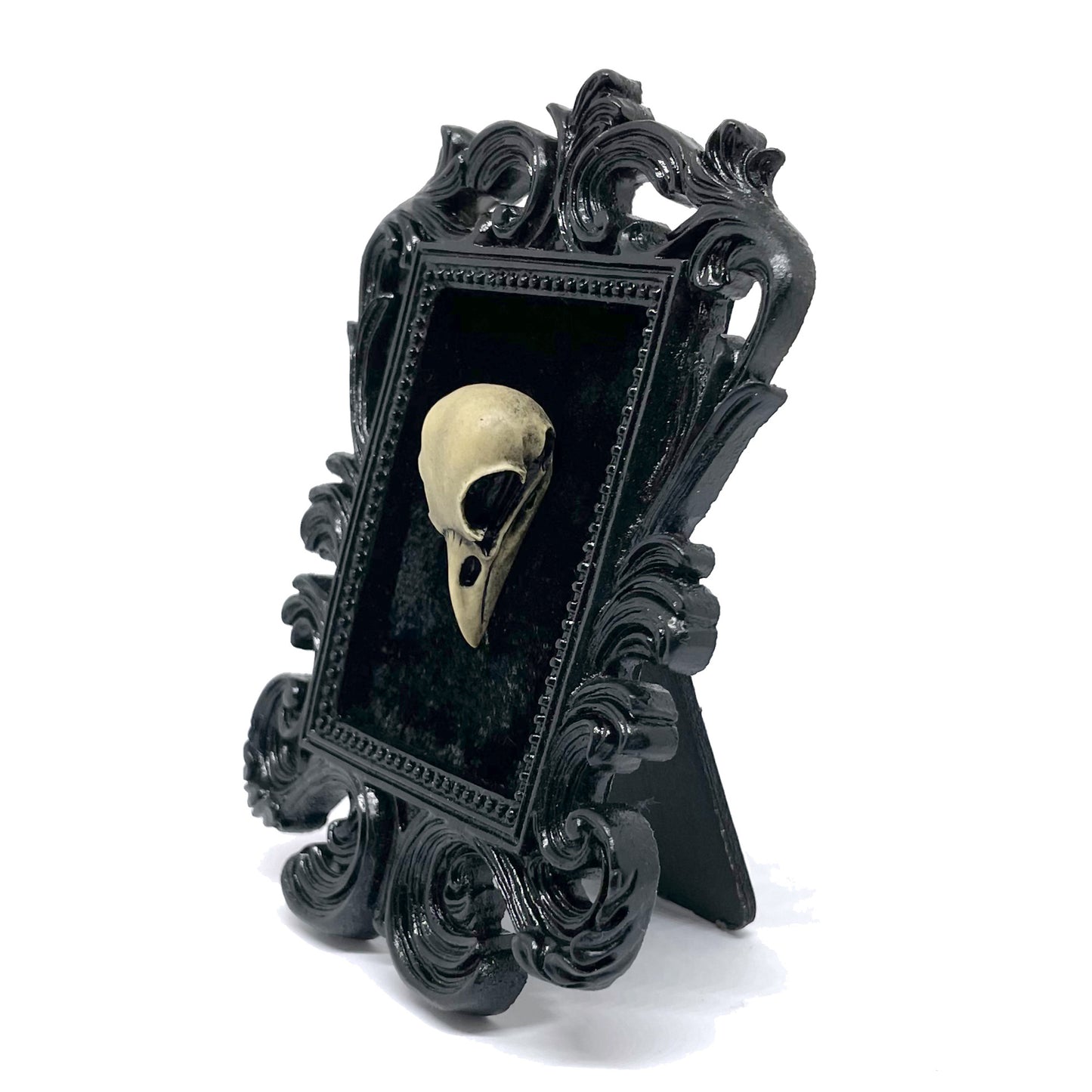 Small Black Resin Square Frame with Resin Bird Skull on Black Velvet Gothic Home Deco