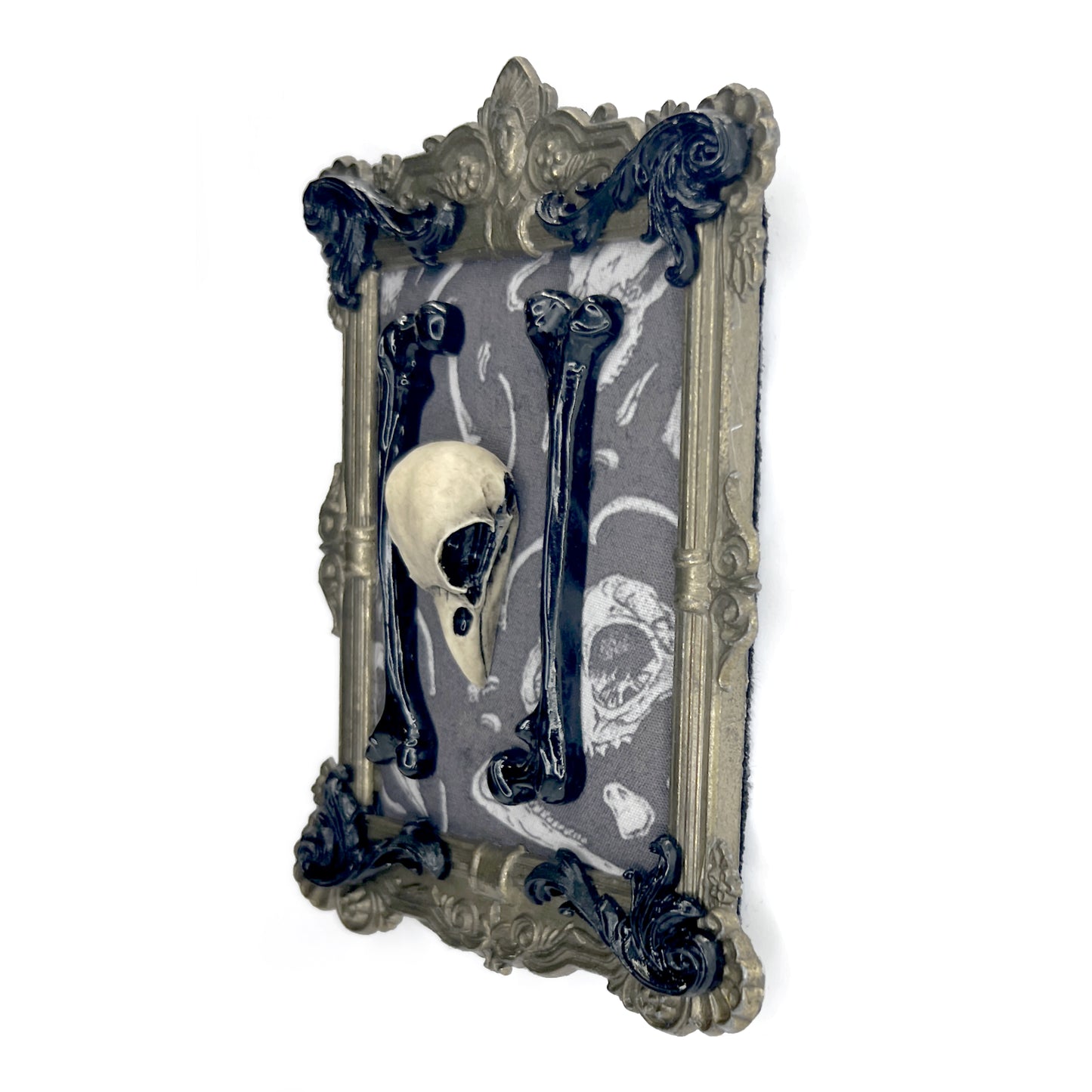 Resin Bird Skull and Bones Antique Framed Gothic Home Deco