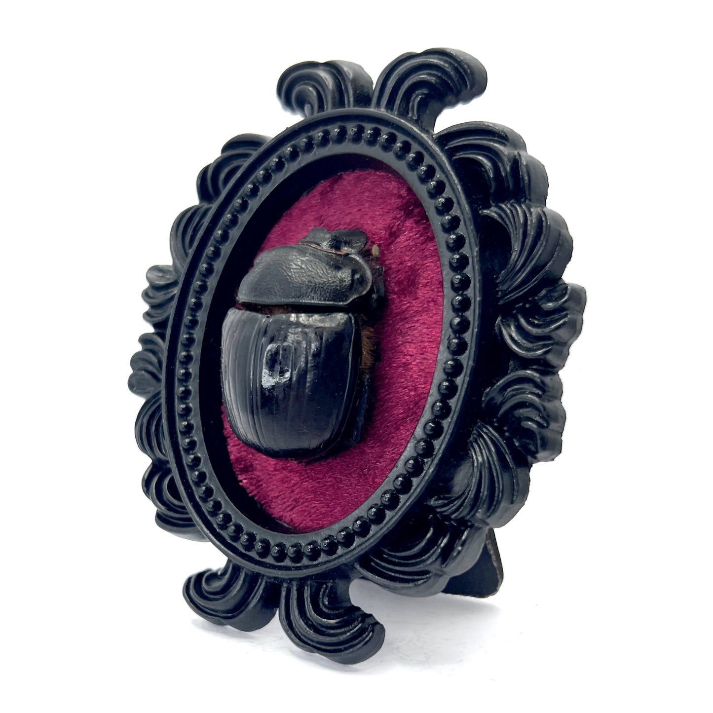 Small Black Resin Oval Frame with Large Beetle on Burgundy Velvet Gothic Home Deco