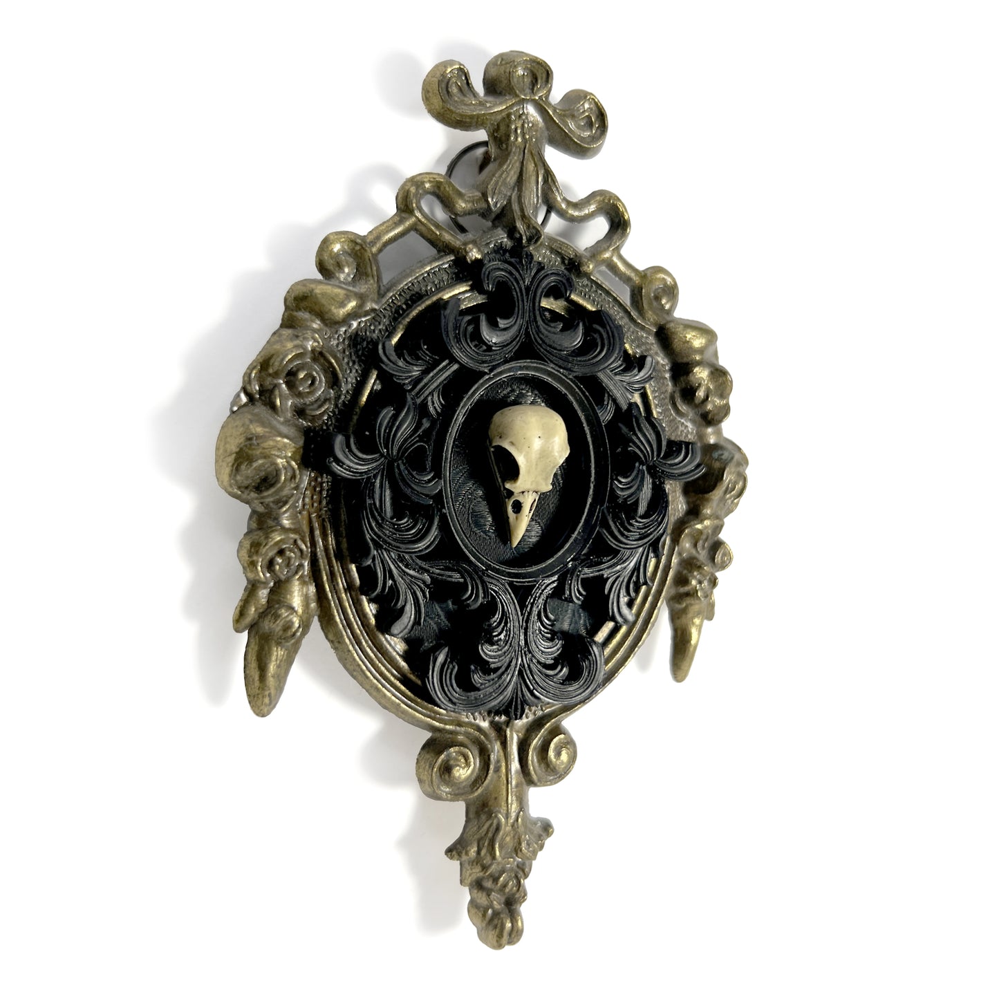 Small Resin Bird Skull on Black Antique Framed Home Deco