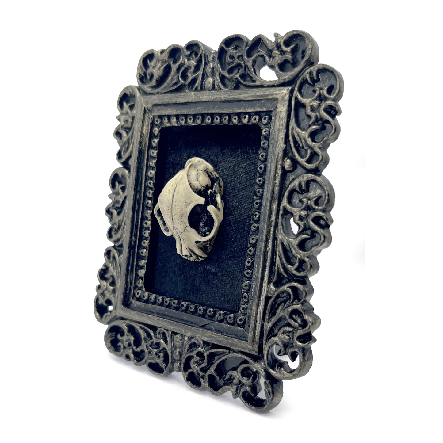 Small Black Gilded Resin Square Frame with Cat Skull on Black Velvet Gothic Home Deco