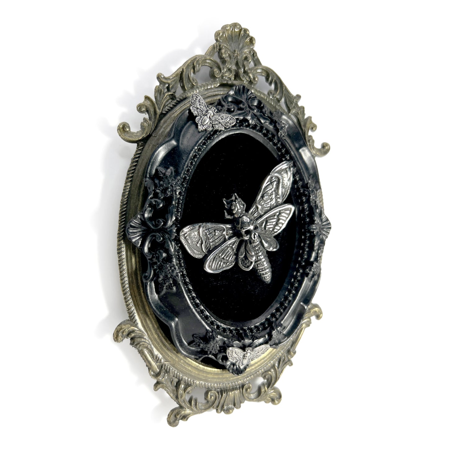 Large Silver Death Head Moth on Black Velvet Antique Framed Home Deco