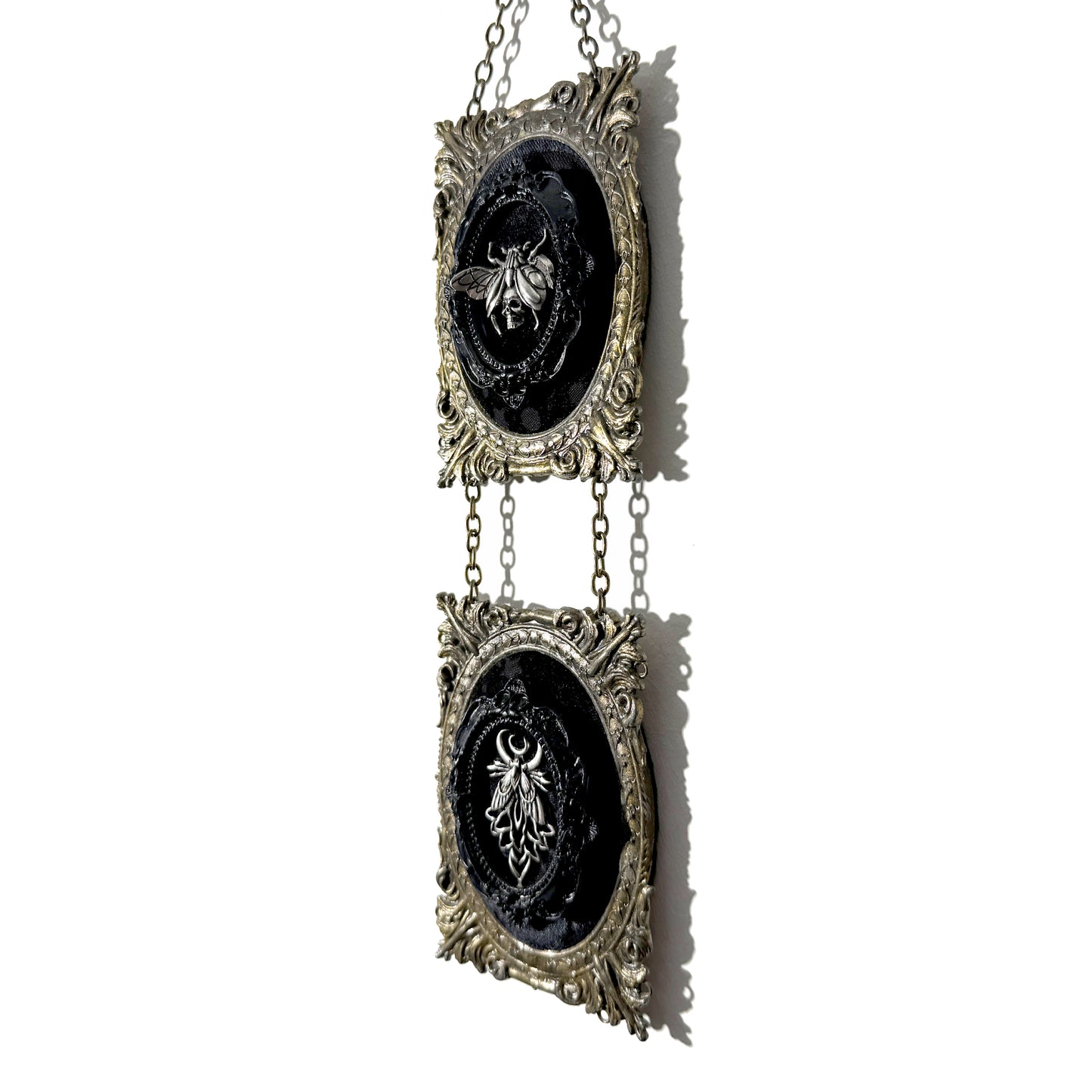Two Winged Insects Double Antique Framed Home Deco