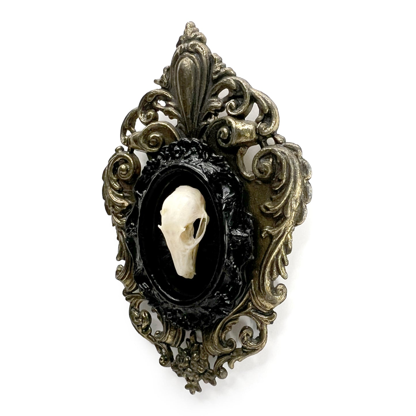 Bat Skull on Black Antique Framed Home Deco