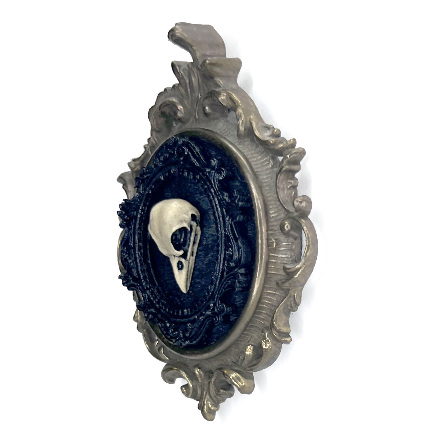 Small Bird Skull on Black Velvet Antique Framed Gothic Home Deco