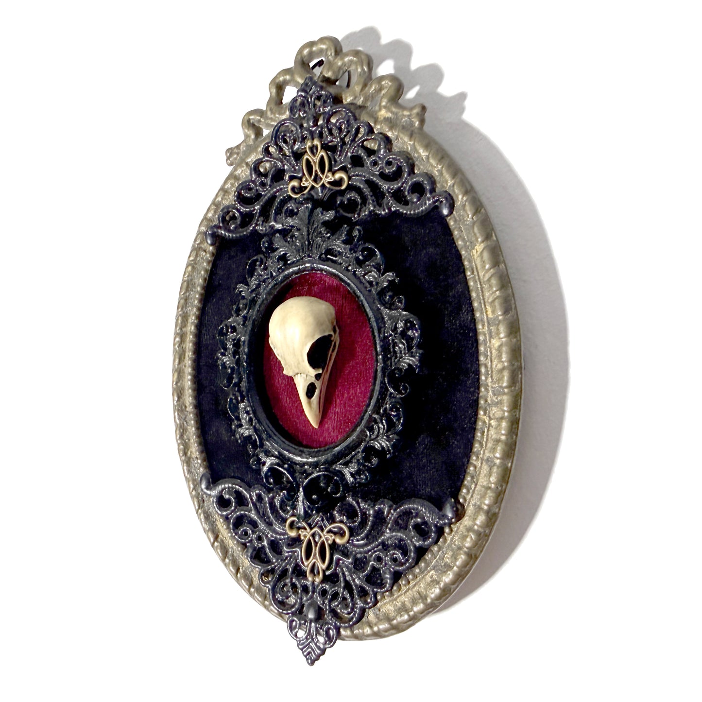 Resin Bird Skull on Burgundy and Black Velvet Antique Framed Home Deco