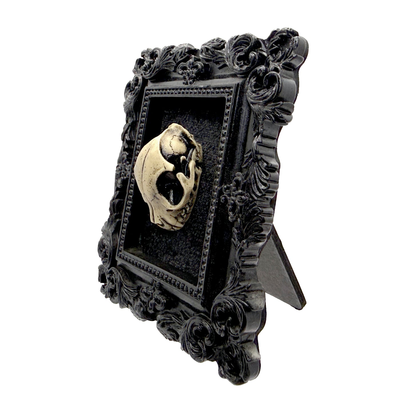 Small Black Frame with Antiqued Resin Cat Skull on Black Velvet Gothic Home Deco