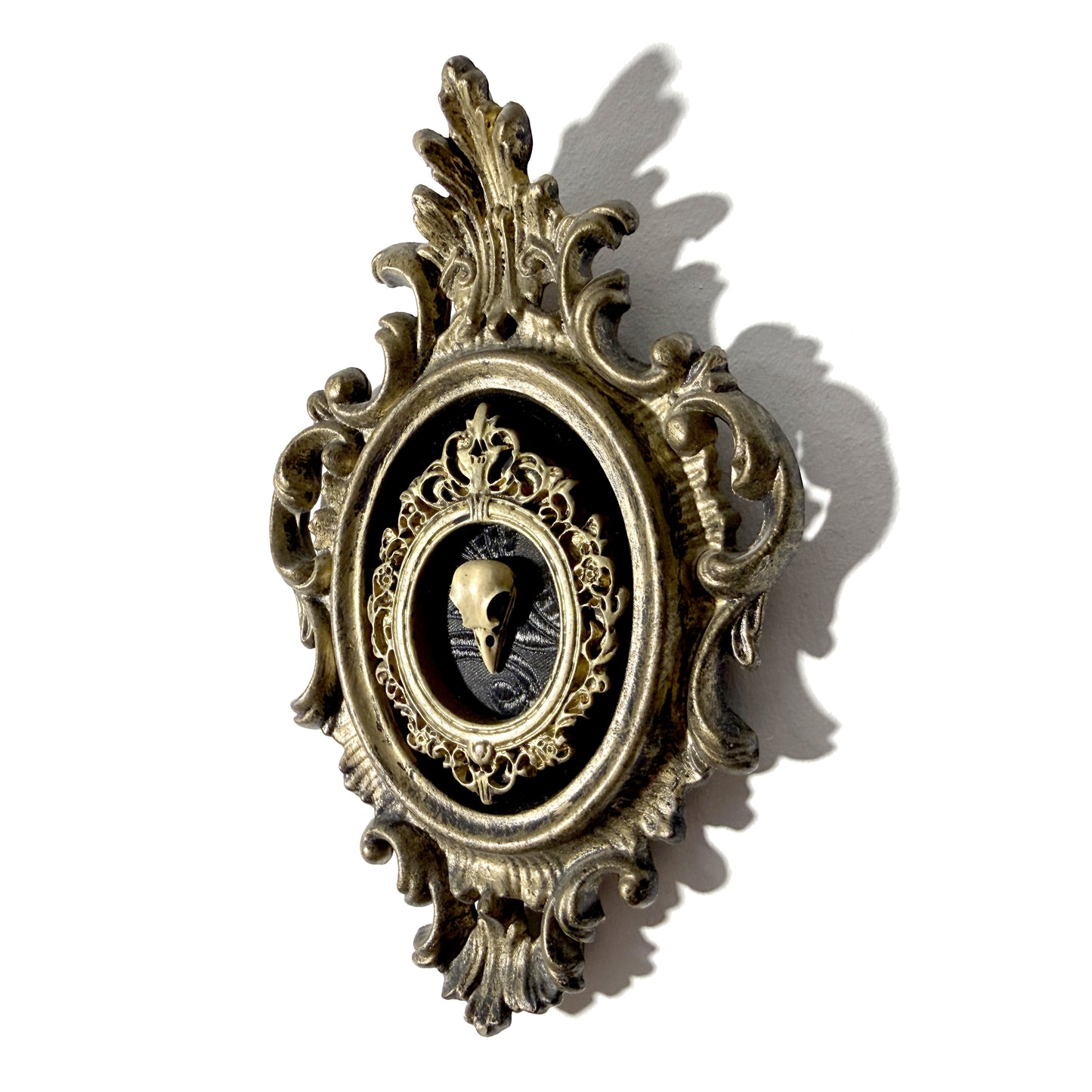 Resin Bird Skull Antique Framed Home Deco