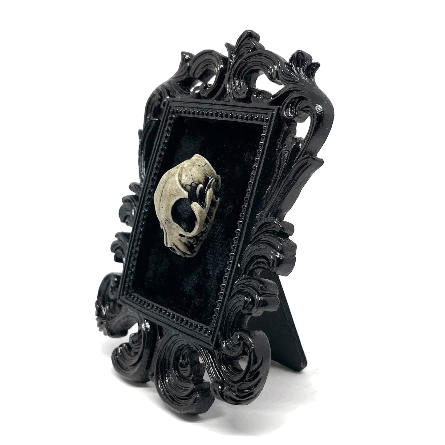 Small Black Resin Square Frame with Resin Cat Skull on Black Velvet Gothic Home Deco