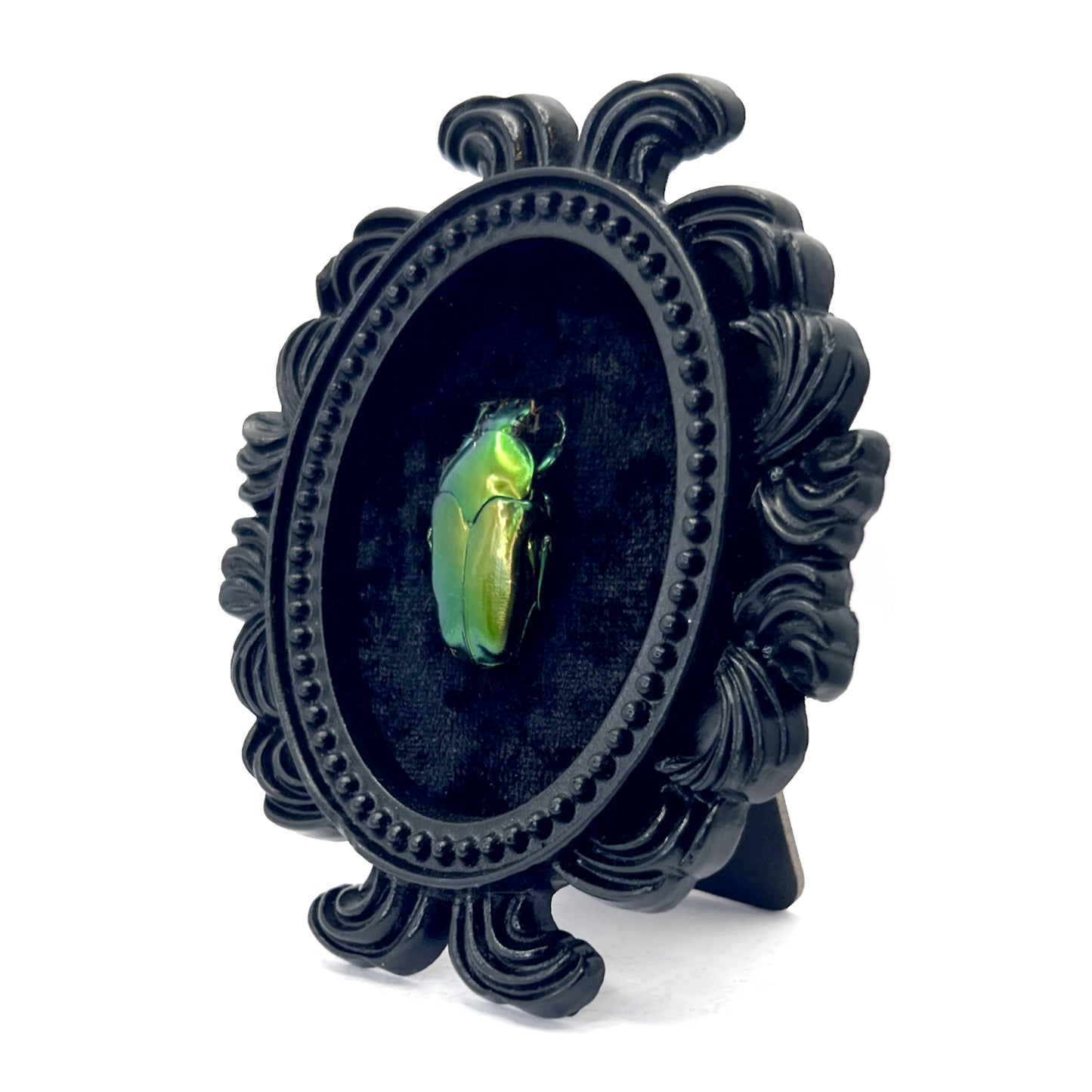 Small Black Resin Oval Frame with Green Beetle on Black Velvet Gothic Home Deco