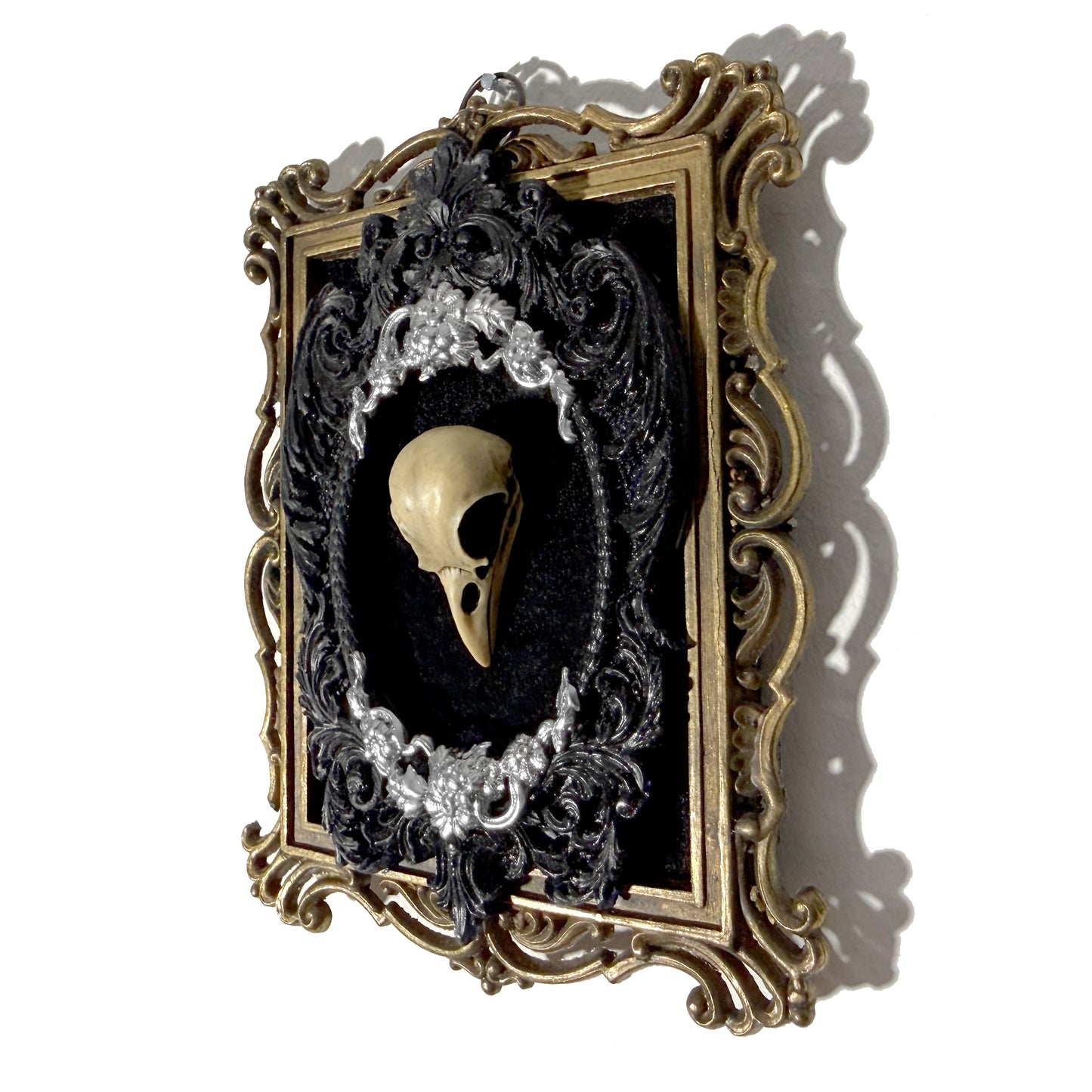 Resin Bird Skull on Black Velvet Antique Framed Home Deco