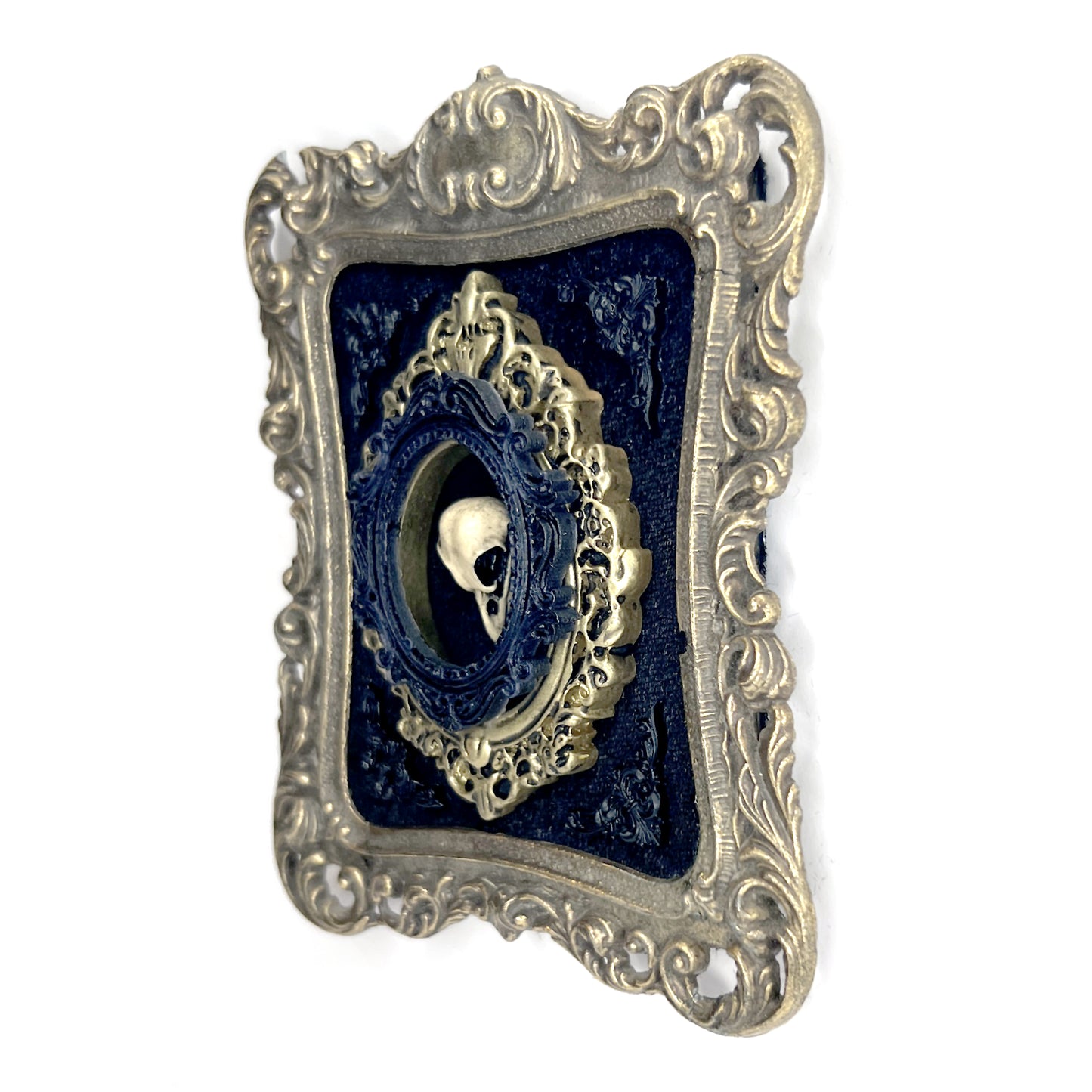 Small Bird Skull Antique Framed Gothic Home Deco