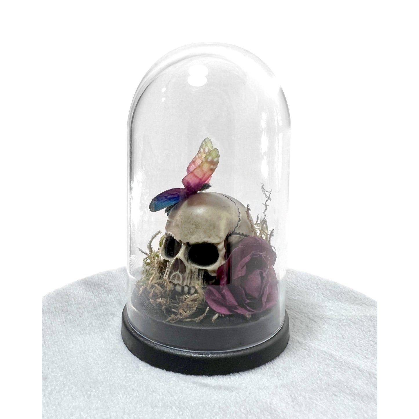 Skull with Butterfly and Burgundy Rose Bell Jar