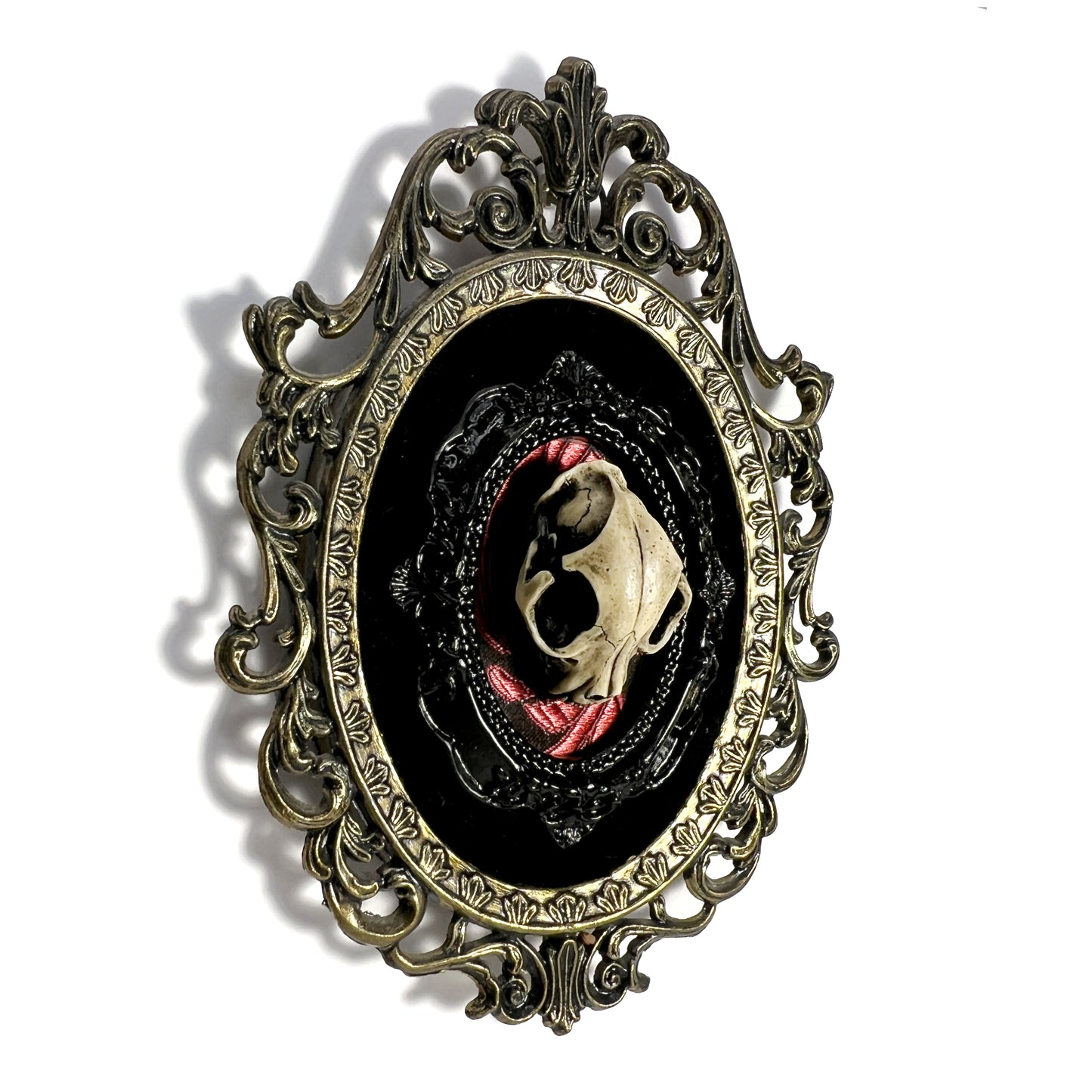 Resin Cat Skull on Black & Red Antique Framed Home Deco