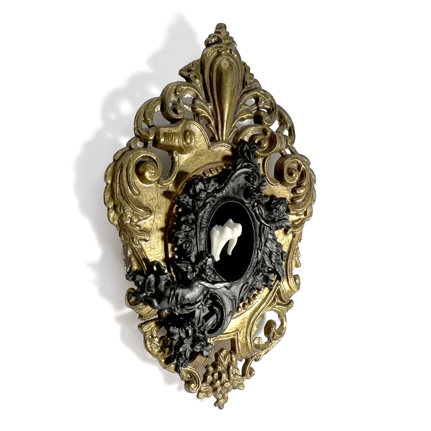 Fox Tooth on Black Velvet Antique Framed Home Deco