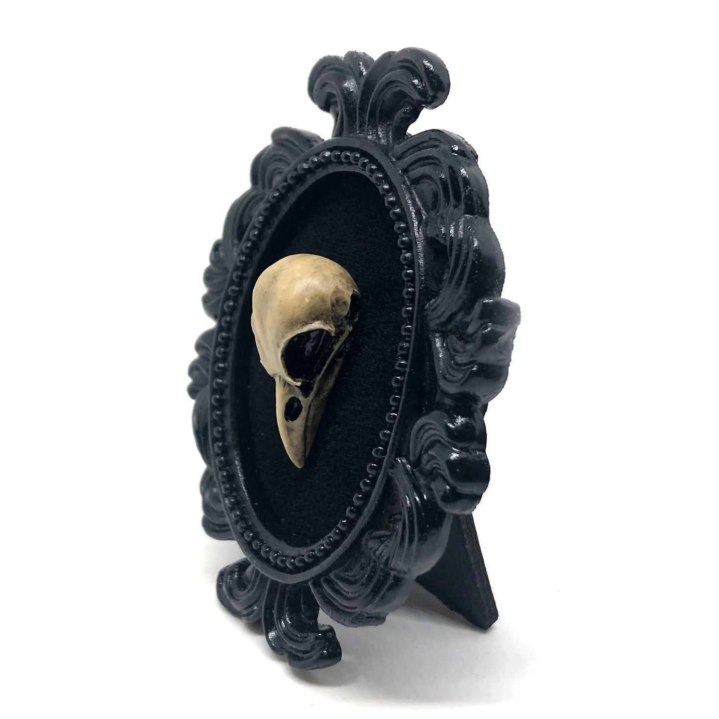 Small Black Resin Oval Frame with Resin Bird Skull on Black Velvet Gothic Home Deco