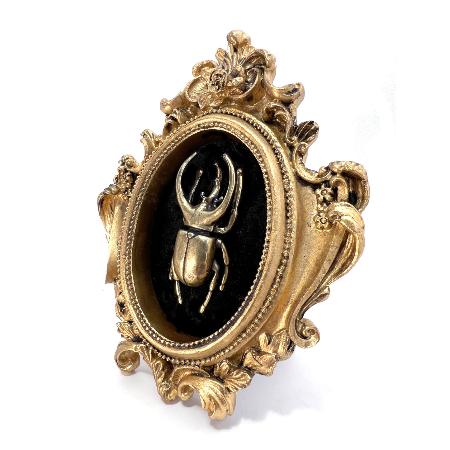 Small Antiqued Gold Framed Horned Brass Beetle on Black Velvet