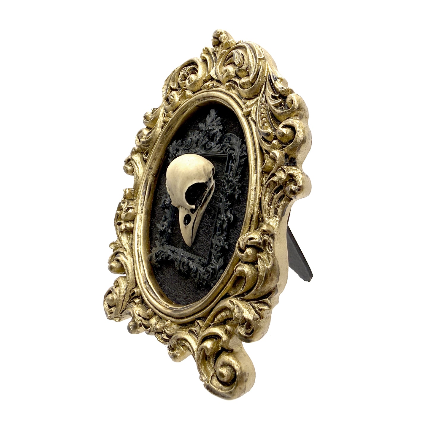 Small Aged Gold Frame with Antiqued Resin Bird Skull on Black Velvet Gothic Home Deco