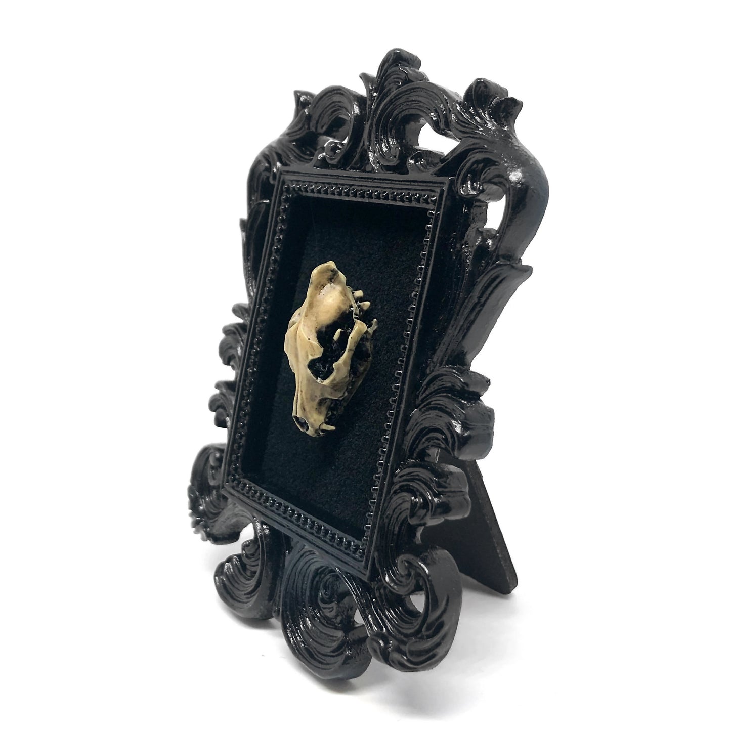 Small Black Resin Square Frame with Resin Wolf Skull on Black Velvet Gothic Home Deco