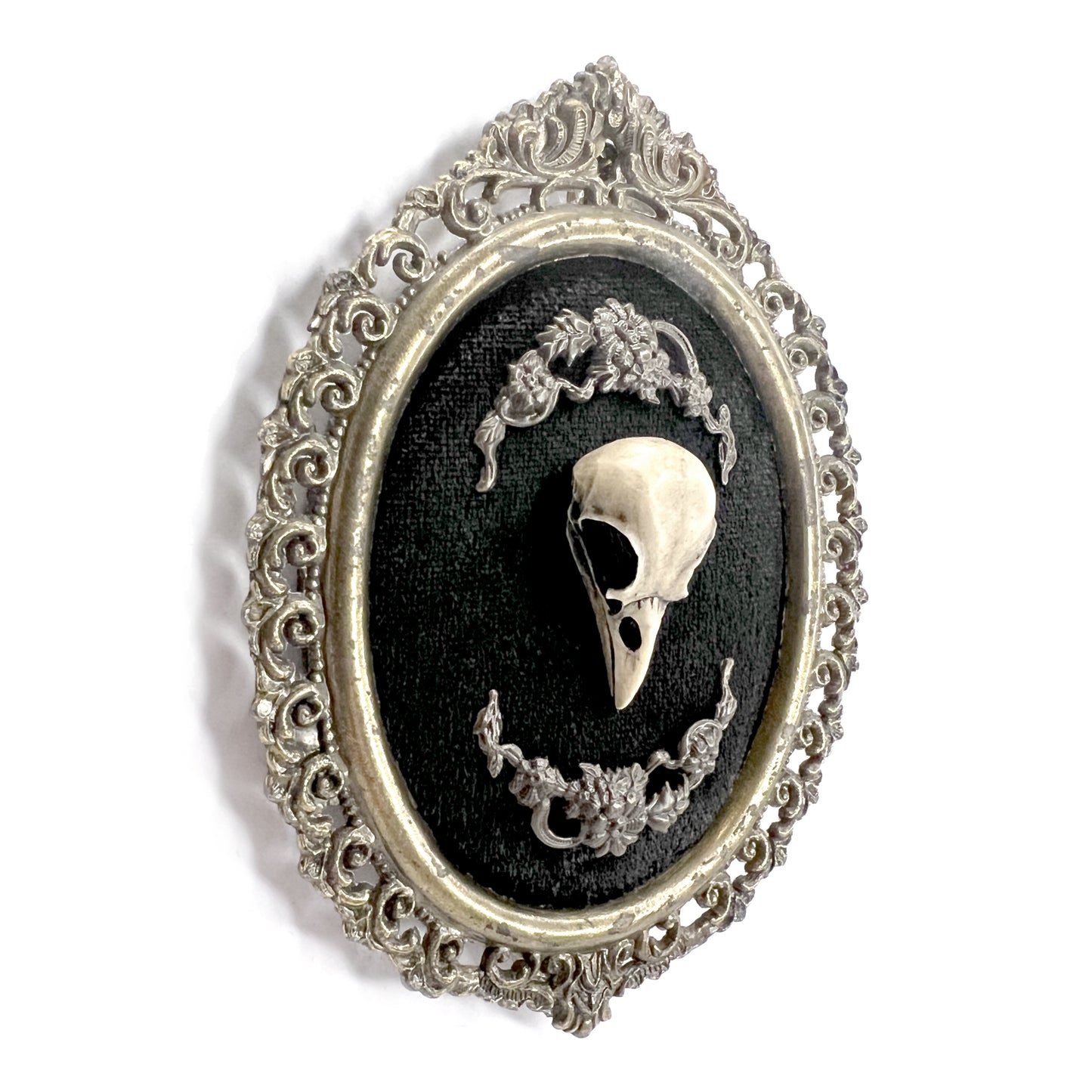 Resin Bird Skull Antique Framed Gothic Home Deco