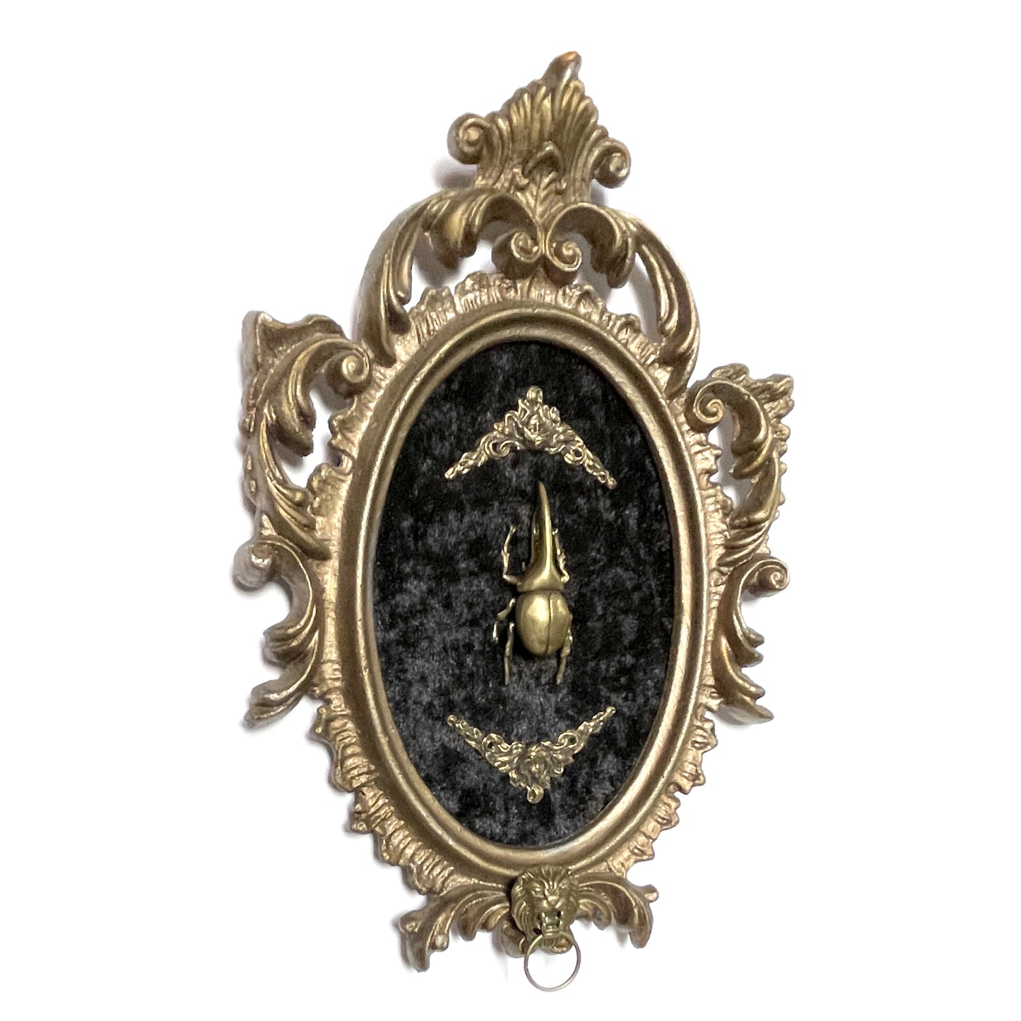 Brass Beetle on Black Velvet Antique Framed Gothic Home Deco