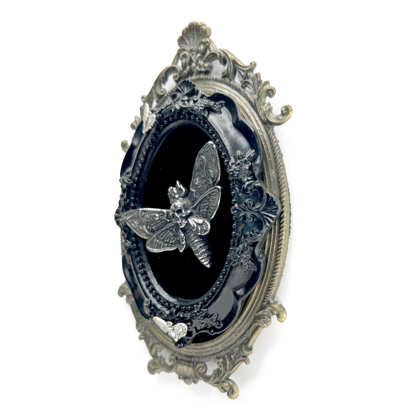 Large Silver Death Head Moth on Black Velvet Antique Framed Home Deco