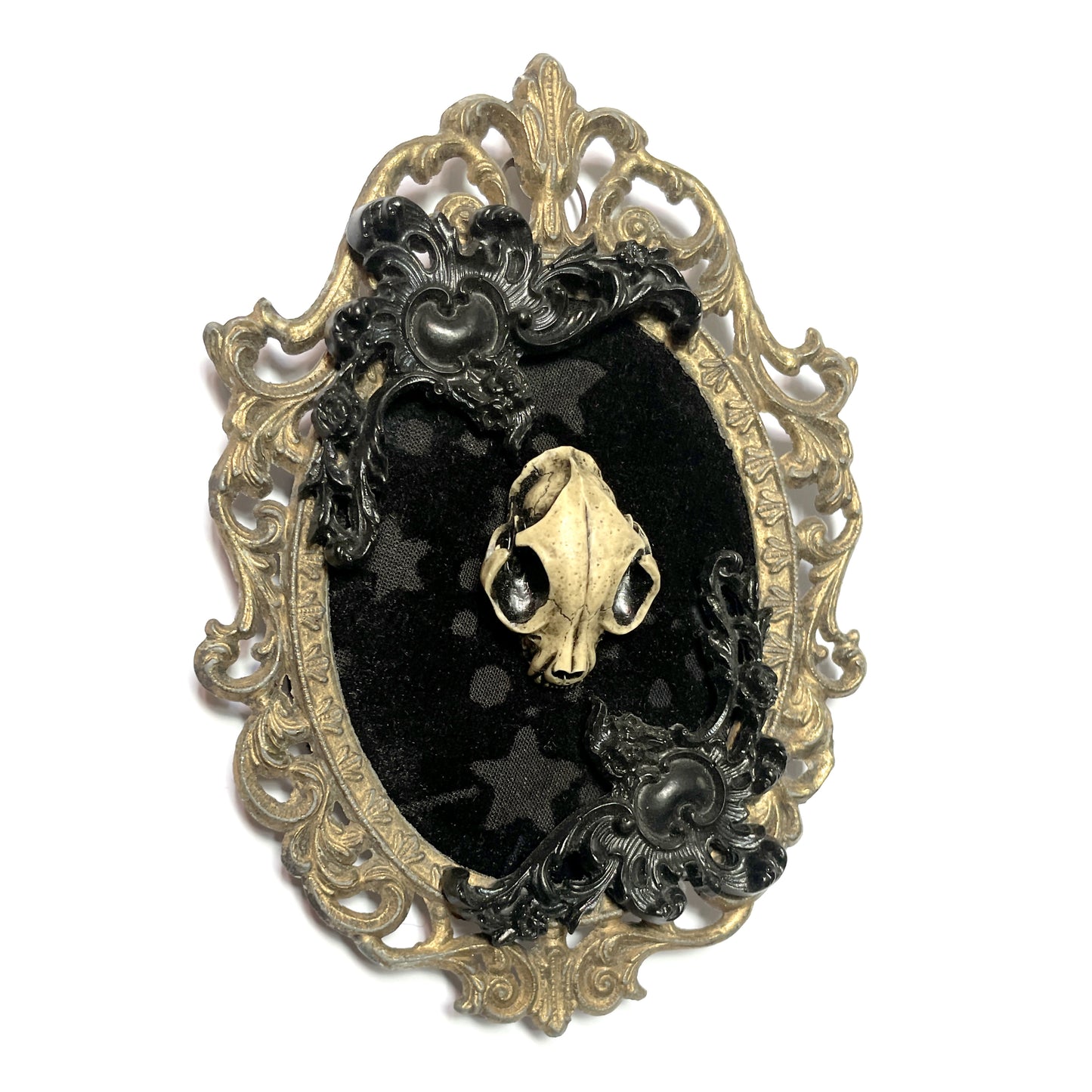 Cat Skull on Black Velvet Antique Framed Gothic Home Deco