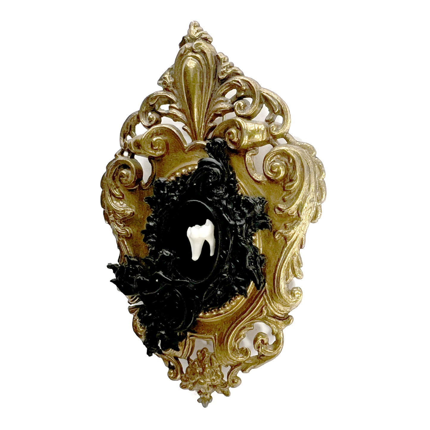 Fox Tooth on Black Velvet Antique Framed Home Deco