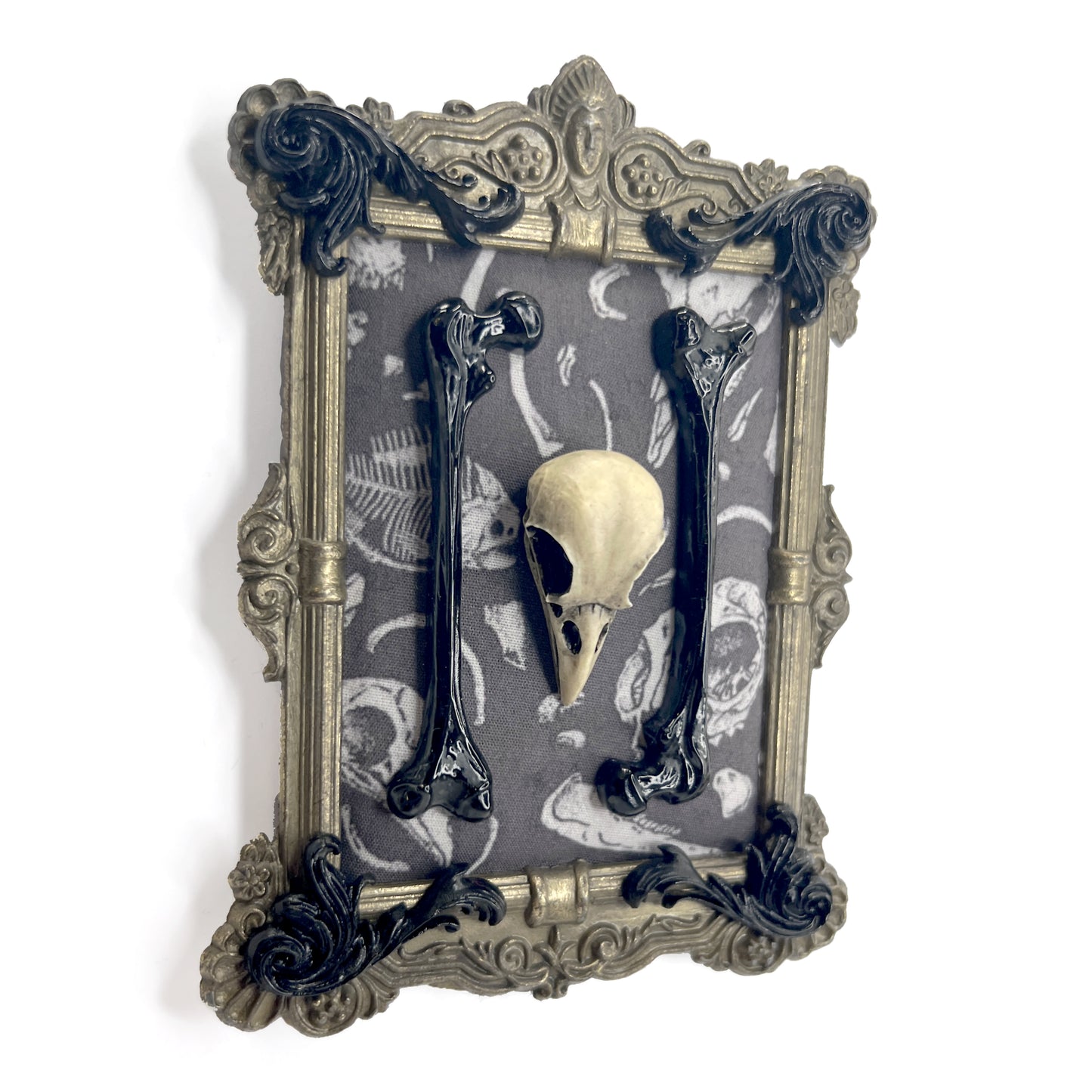 Resin Bird Skull and Bones Antique Framed Gothic Home Deco