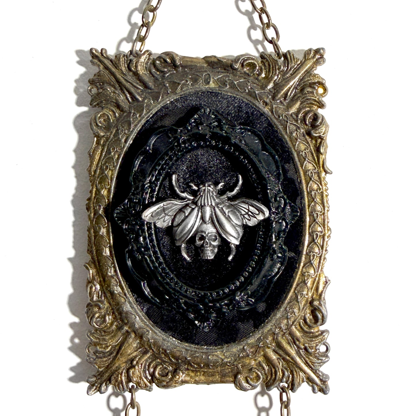 Two Winged Insects Double Antique Framed Home Deco