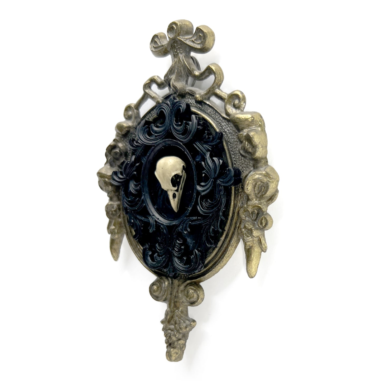 Small Resin Bird Skull on Black Antique Framed Home Deco