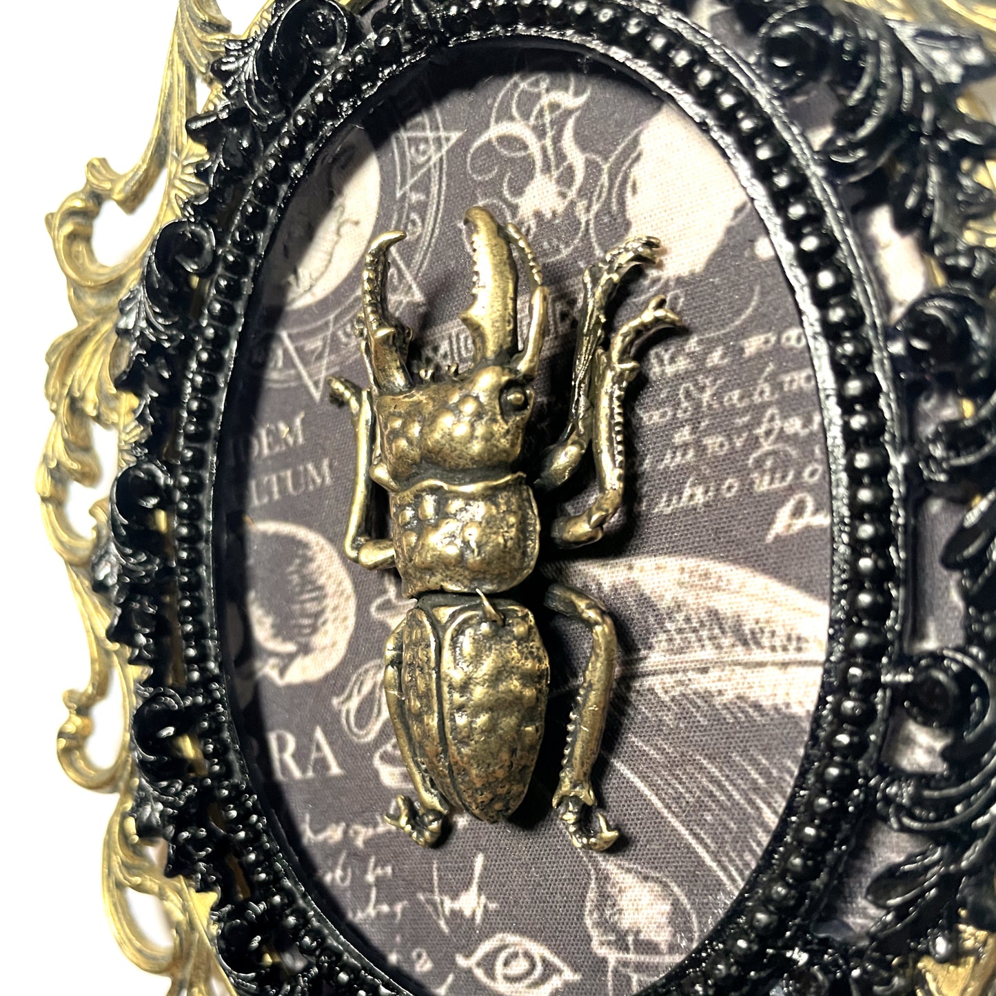 Large Brass Bug Antique Framed Gothic Home Deco