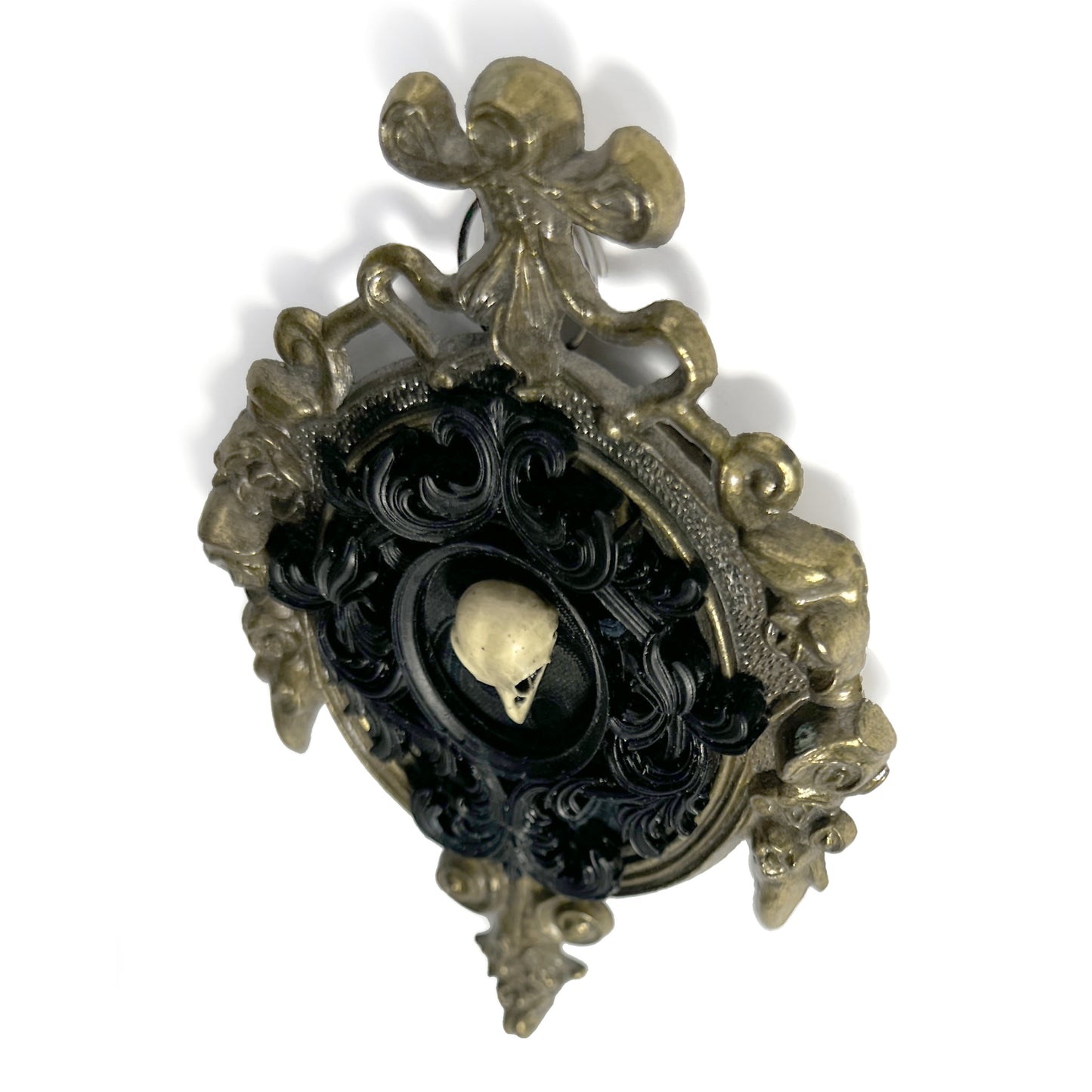 Small Resin Bird Skull on Black Antique Framed Home Deco