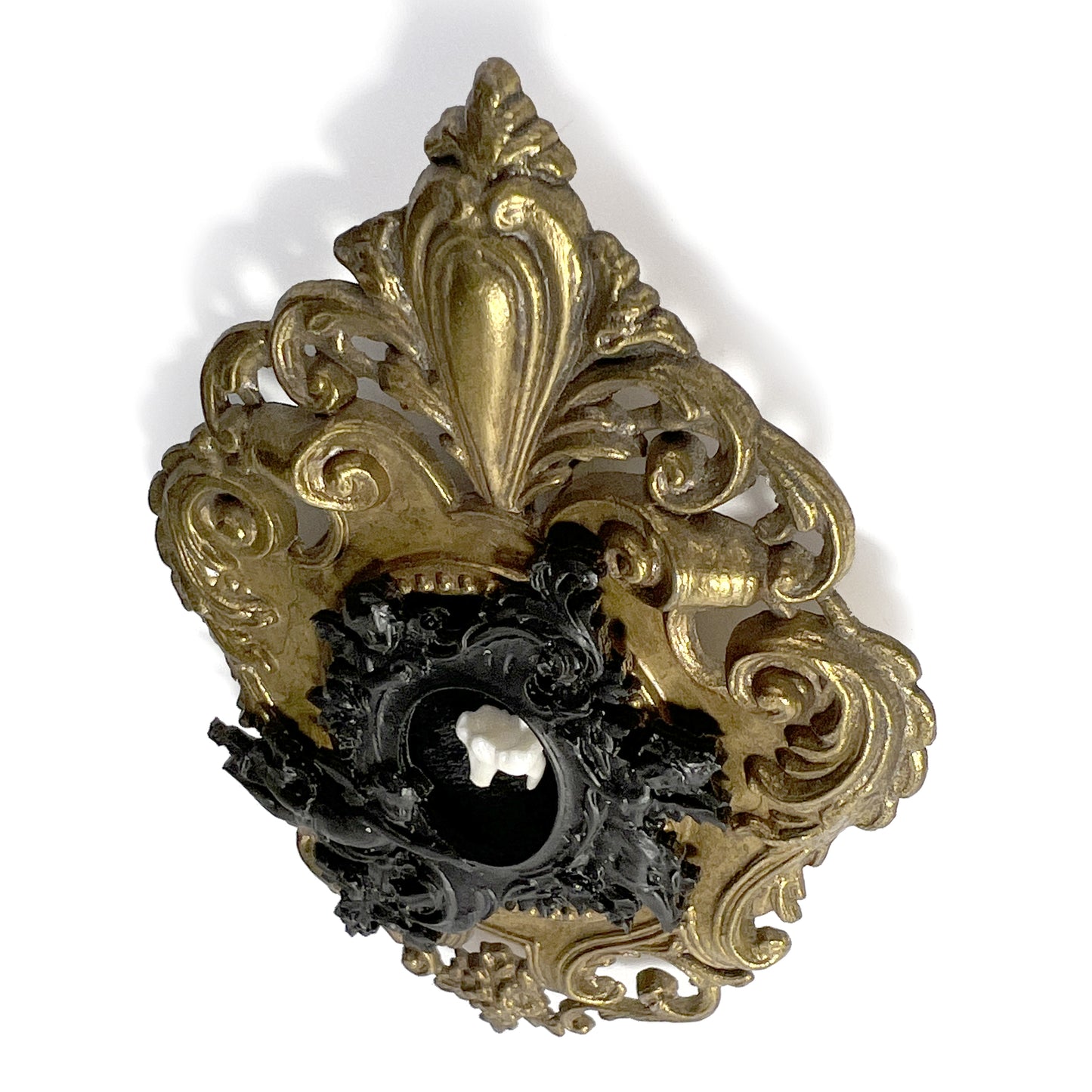 Fox Tooth on Black Velvet Antique Framed Home Deco