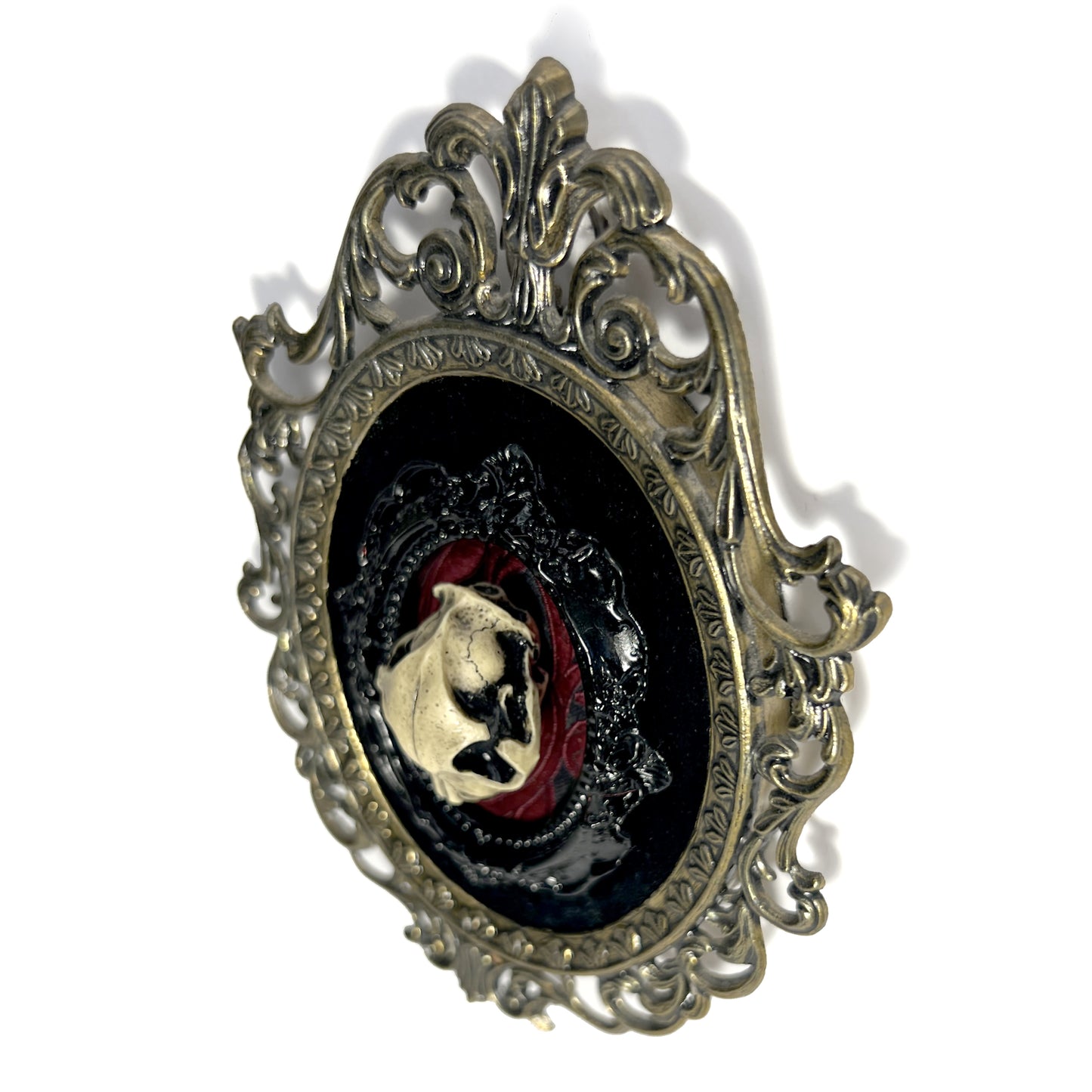 Resin Cat Skull on Black & Red Antique Framed Home Deco