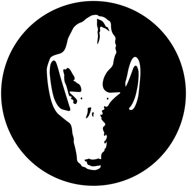 BatsBugsBones
