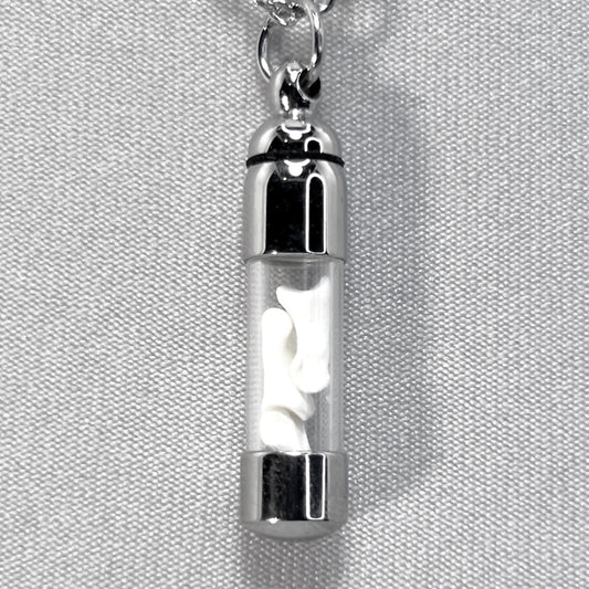Tiny Silver Glass Vial Filled with Little Bones